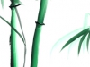 bambuk1